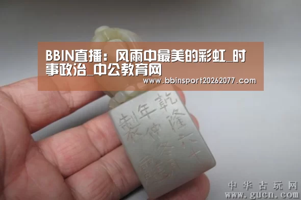 BBIN直播:风雨中最美的彩虹_时事政治_中公教育网(图1) BBIN登录