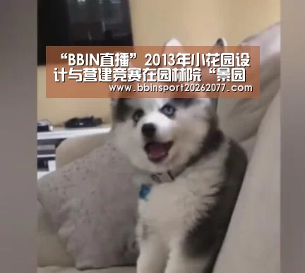 “BBIN直播”2013年小花园设计与营建竞赛在园林院“景园”落幕(图2) BBIN官网