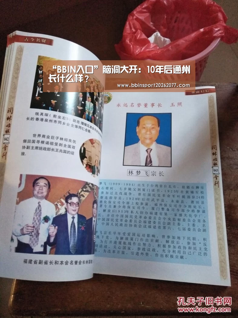 BBIN直播