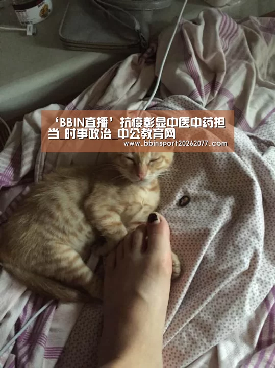 BBIN官网