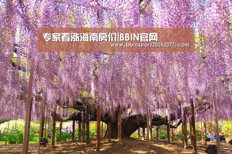 专家看涨海南房价|BBIN官网(图1) BBIN入口