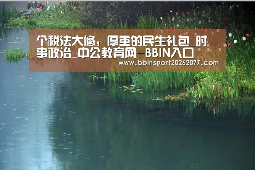 个税法大修,厚重的民生礼包_时事政治_中公教育网-BBIN入口(图3) BBIN官网