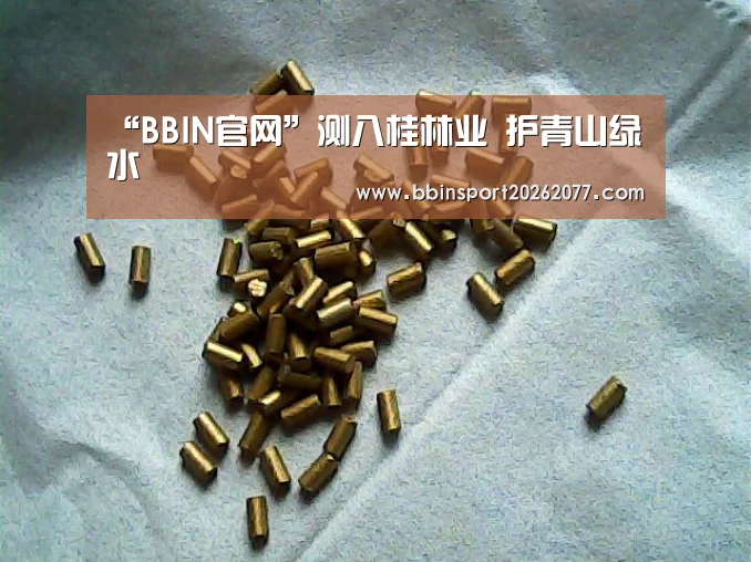 “BBIN官网”测八桂林业 护青山绿水(图2) BBIN登录