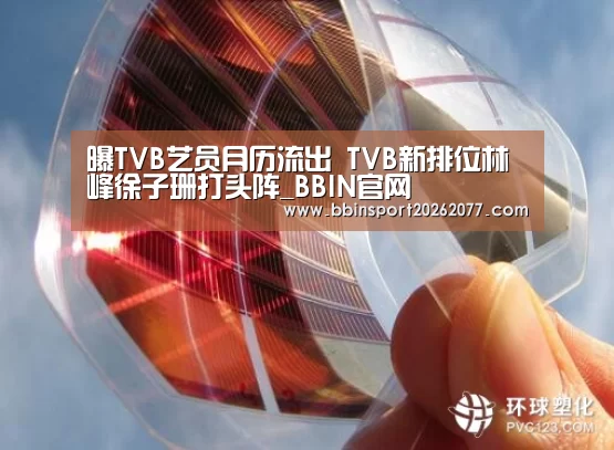 曝TVB艺员月历流出 TVB新排位林峰徐子珊打头阵_BBIN官网(图3) BBIN直播