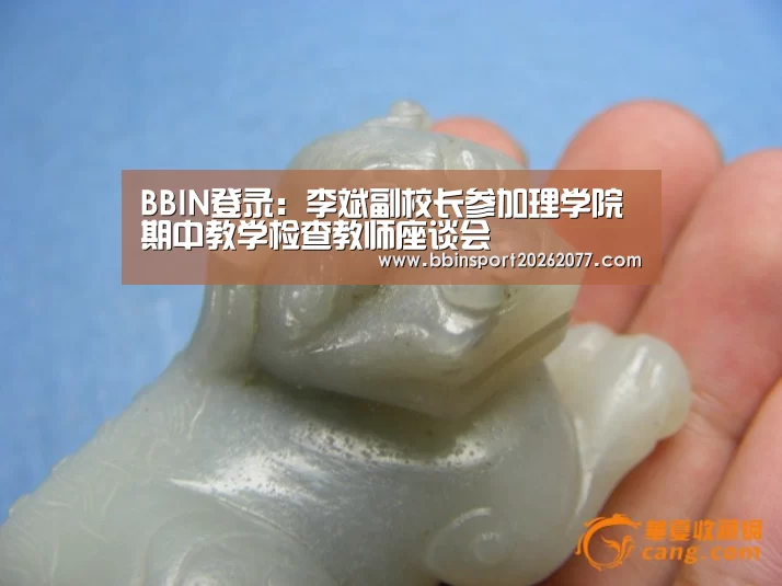 BBIN登录:李斌副校长参加理学院期中教学检查教师座谈会(图1) BBIN官网