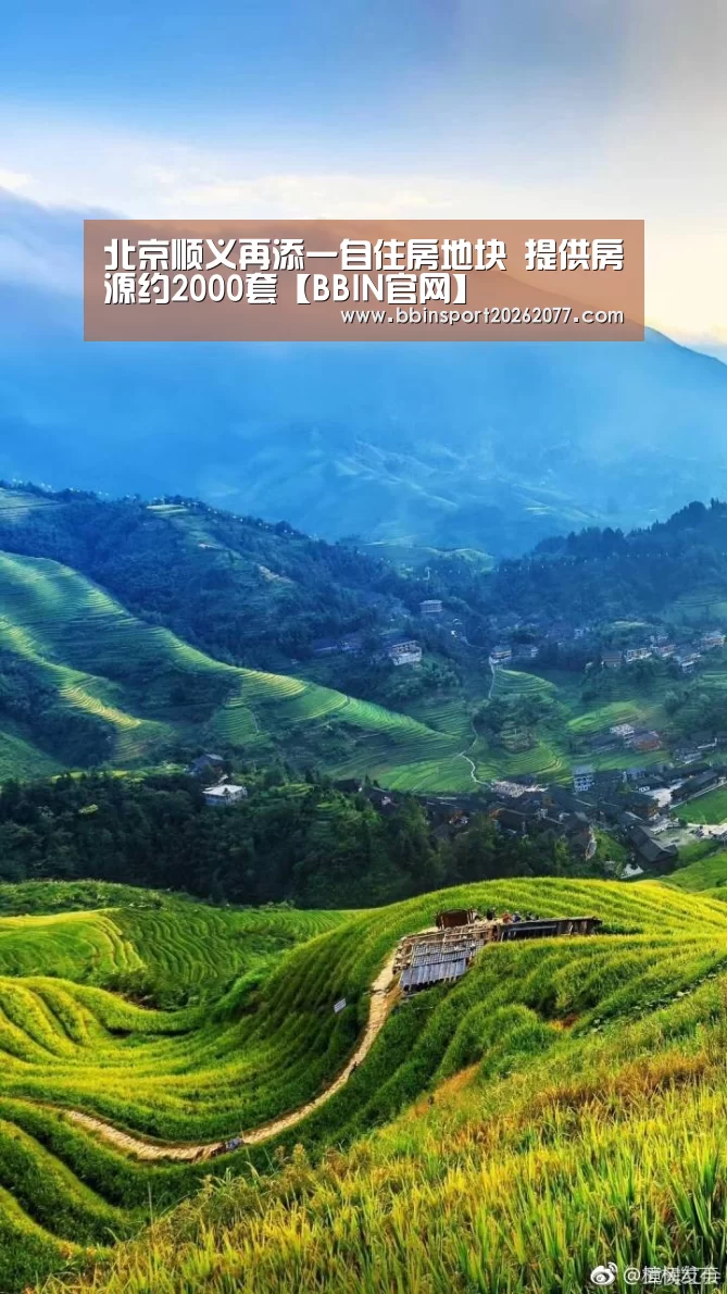 BBIN登录