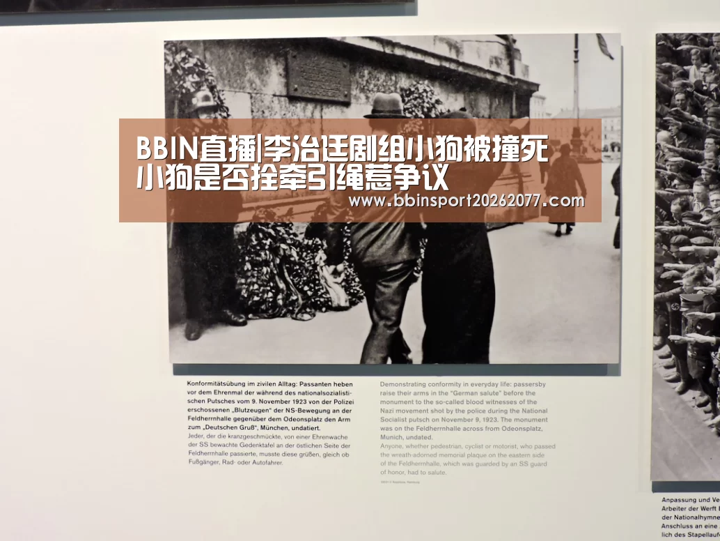 BBIN直播|李治廷剧组小狗被撞死 小狗是否拴牵引绳惹争议(图1) BBIN官网