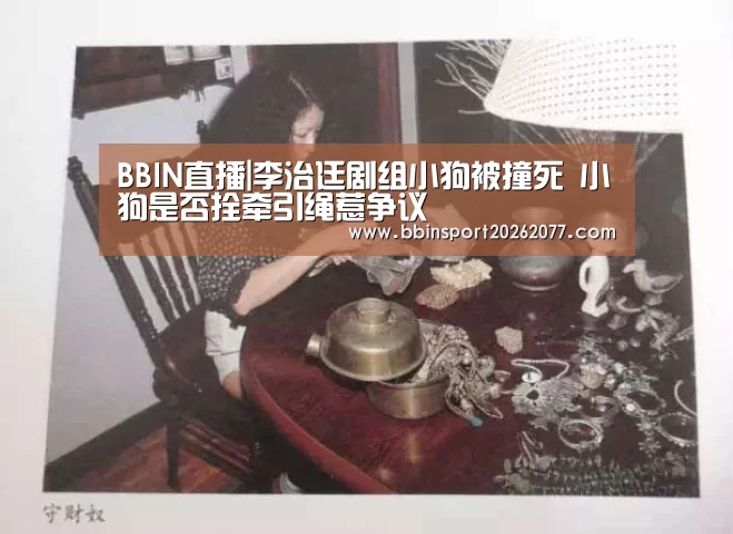 BBIN直播|李治廷剧组小狗被撞死 小狗是否拴牵引绳惹争议(图3) BBIN直播