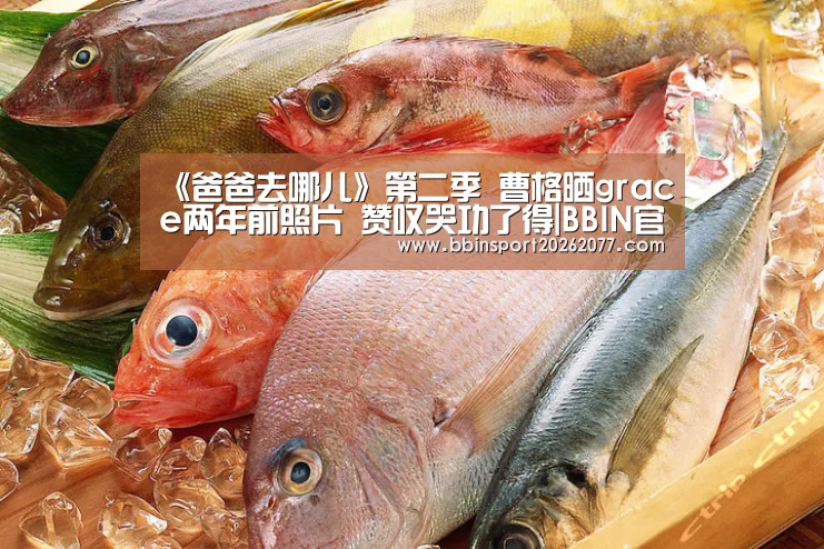 BBIN入口