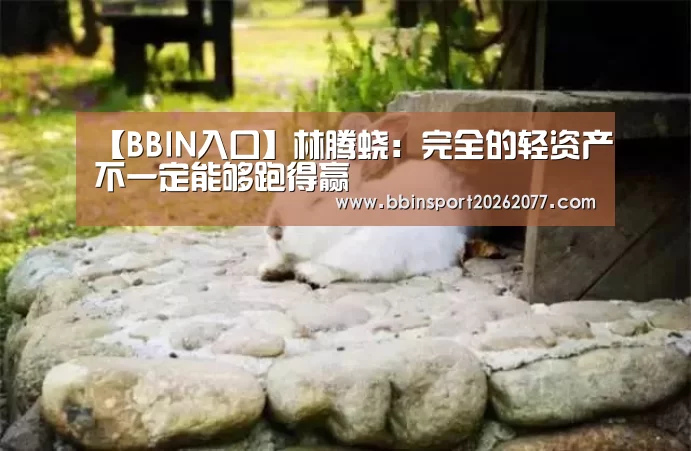 【BBIN入口】林腾蛟:完全的轻资产不一定能够跑得赢(图2) BBIN入口